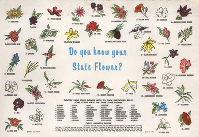 Connaissez-vous la fleur associée à votre Etat